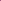 Rose Room Glam Puff Set