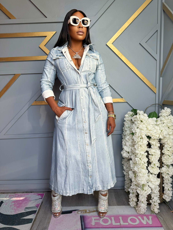 Damsel in Denim  Dress