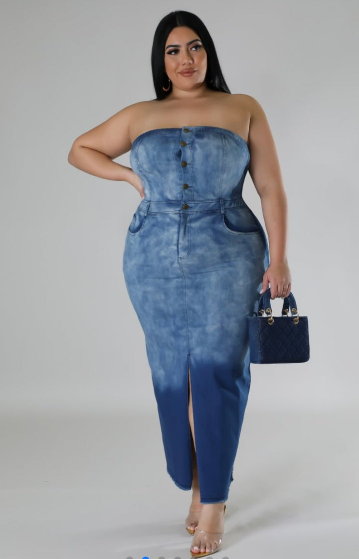 Dreaming in Denim Dress - Bink & Bougie