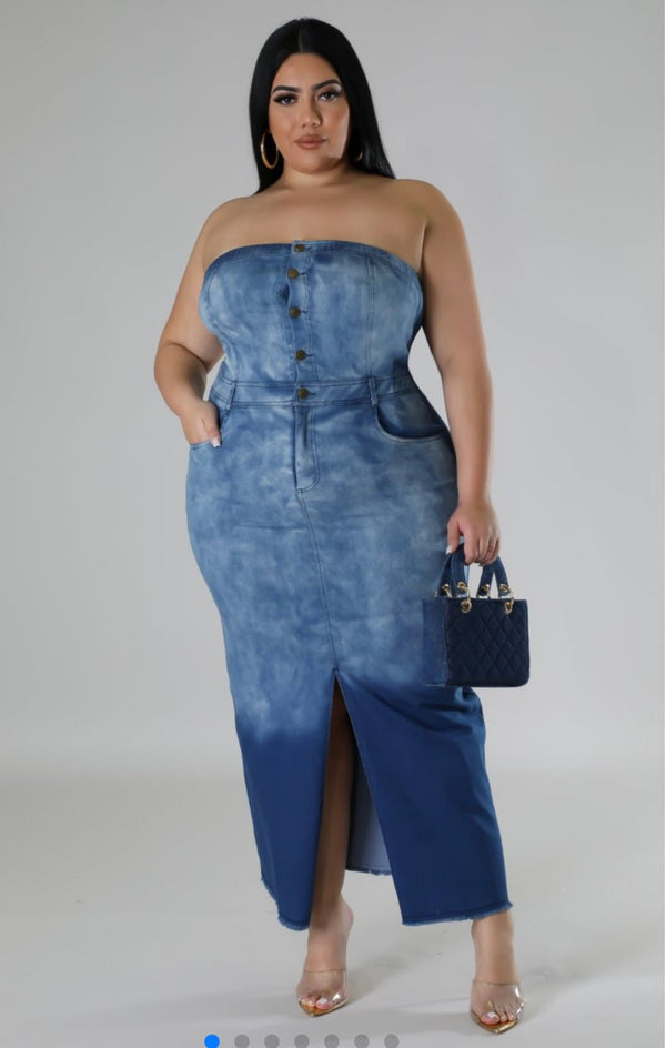 Dreaming in Denim Dress - Bink & Bougie